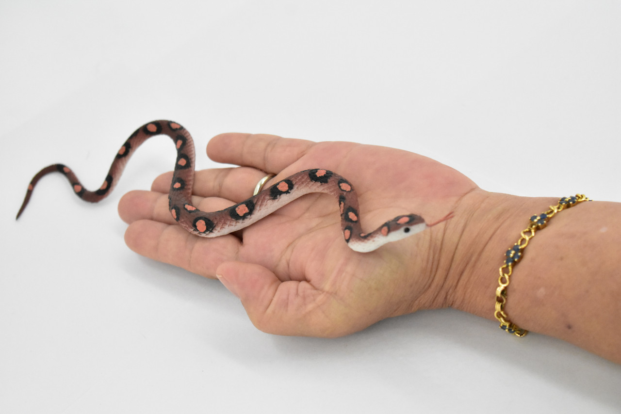 Snake, Red Corn Snake, Rubber Reptile, Educational, Realistic, Hand Painted, Figure, Lifelike Model, Figurine, Replica, Gift,    11"    F1731 B222