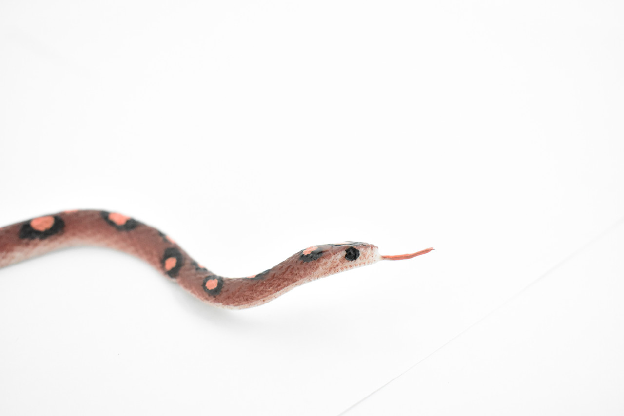 Snake, Red Corn Snake, Rubber Reptile, Educational, Realistic, Hand Painted, Figure, Lifelike Model, Figurine, Replica, Gift,    11"    F1731 B222