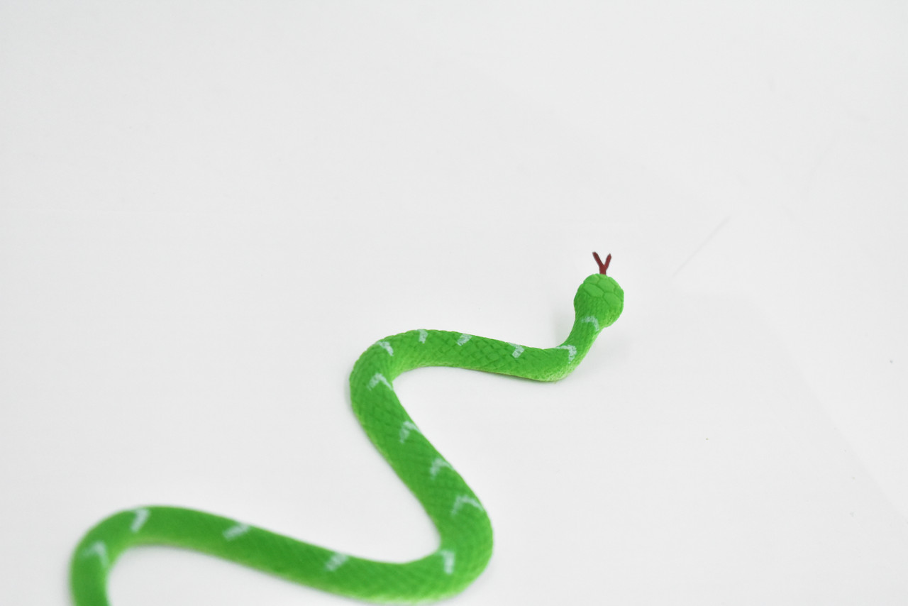 Snake, Bamboo and Mountain Pit Viper, Rubber Reptile, Educational, Realistic, Hand Painted, Figure, Lifelike Model, Figurine, Replica, Gift,    10"      F1734 B222