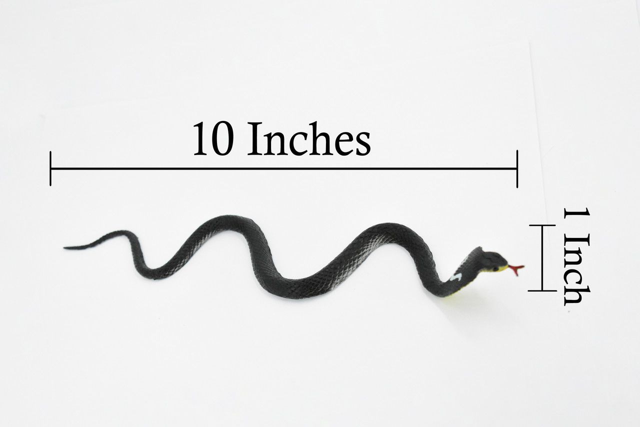 Snake, Black King Cobra, Rubber Reptile, Educational, Realistic, Hand Painted, Figure, Lifelike Model, Figurine, Replica, Gift,    10"       F1733 B222