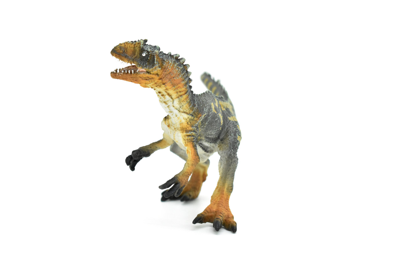 Allosaurus Dinosaur, Museum Quality Plastic Replica    8"    M003-B628