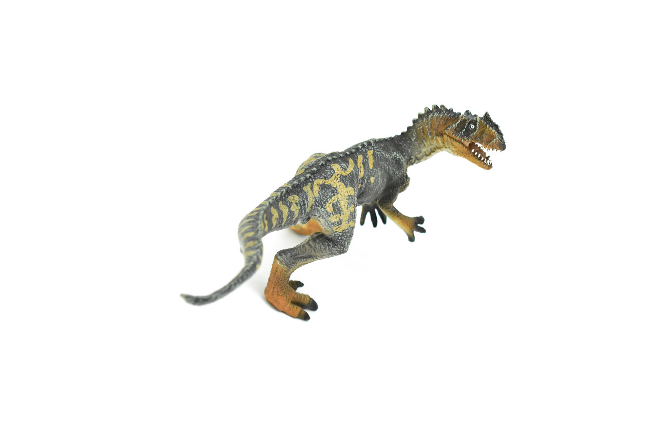 Allosaurus Dinosaur, Museum Quality Plastic Replica    8"    M003-B628