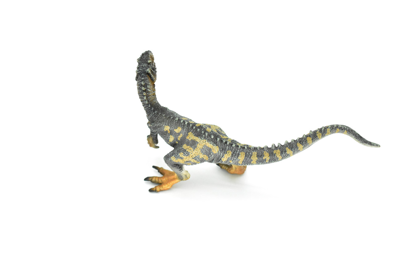 Allosaurus Dinosaur, Museum Quality Plastic Replica    8"    M003-B628