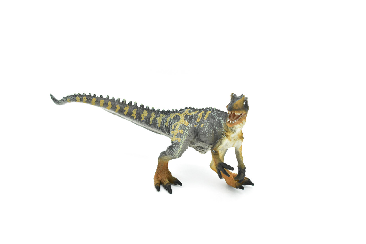 Allosaurus Dinosaur, Museum Quality Plastic Replica    8"    M003-B628
