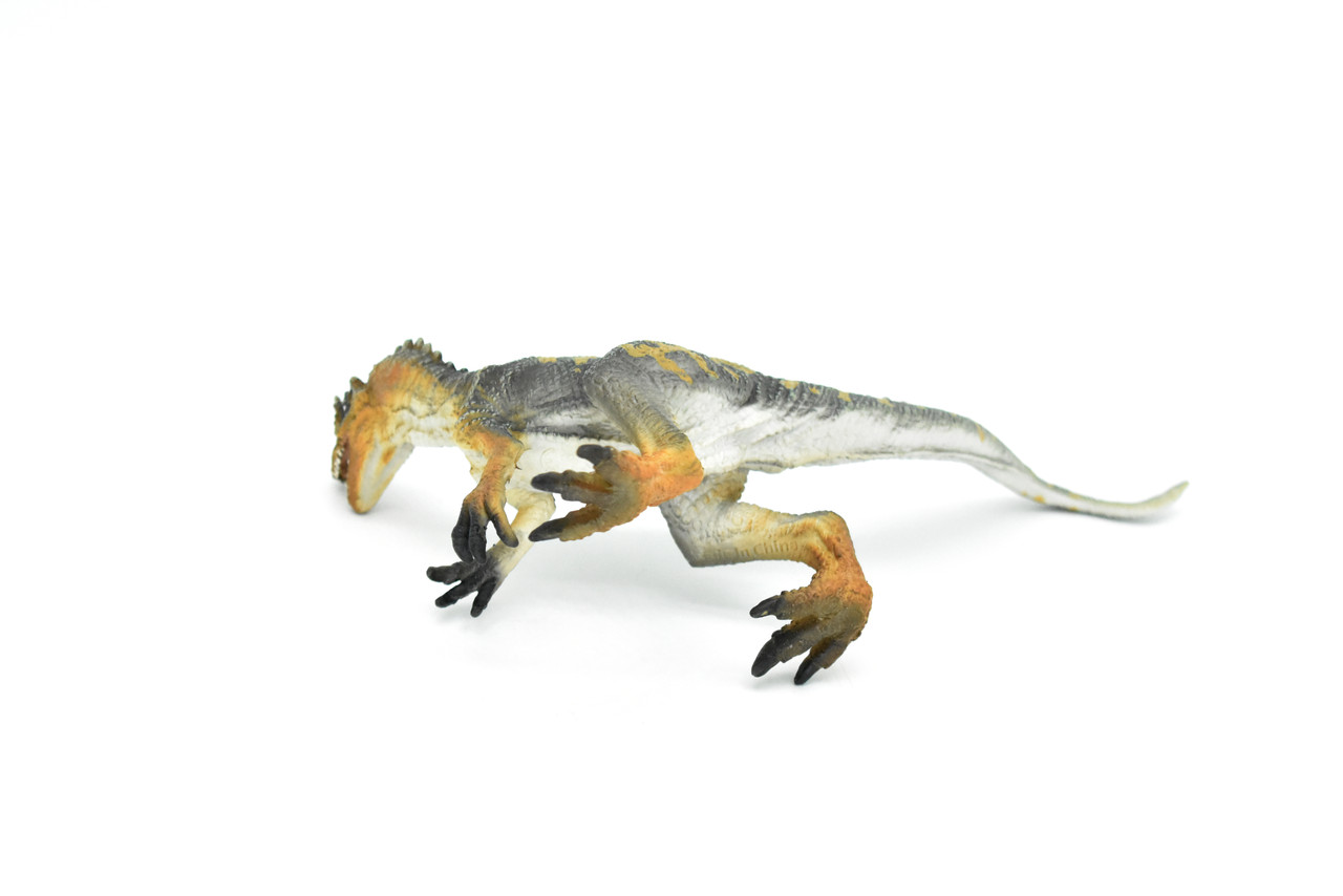 Allosaurus Dinosaur, Museum Quality Plastic Replica    8"    M003-B628