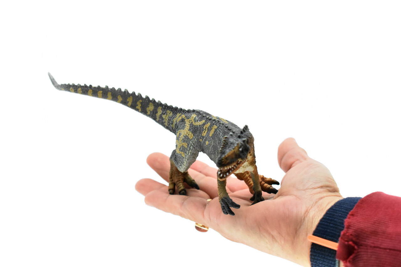 Allosaurus Dinosaur, Museum Quality Plastic Replica    8"    M003-B628