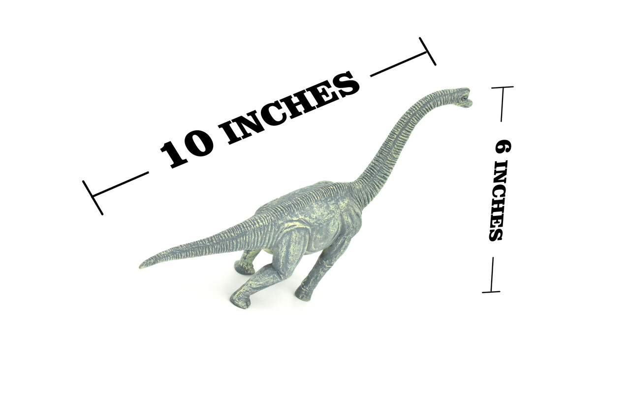 Brachiosaurus Dinosaur,  Museum Quality Plastic Replica   10"    M002-B628