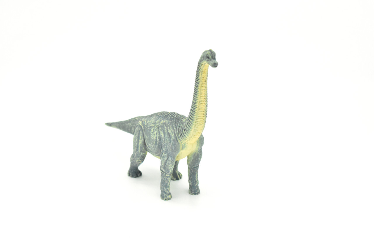 Brachiosaurus Dinosaur,  Museum Quality Plastic Replica   10"    M002-B628