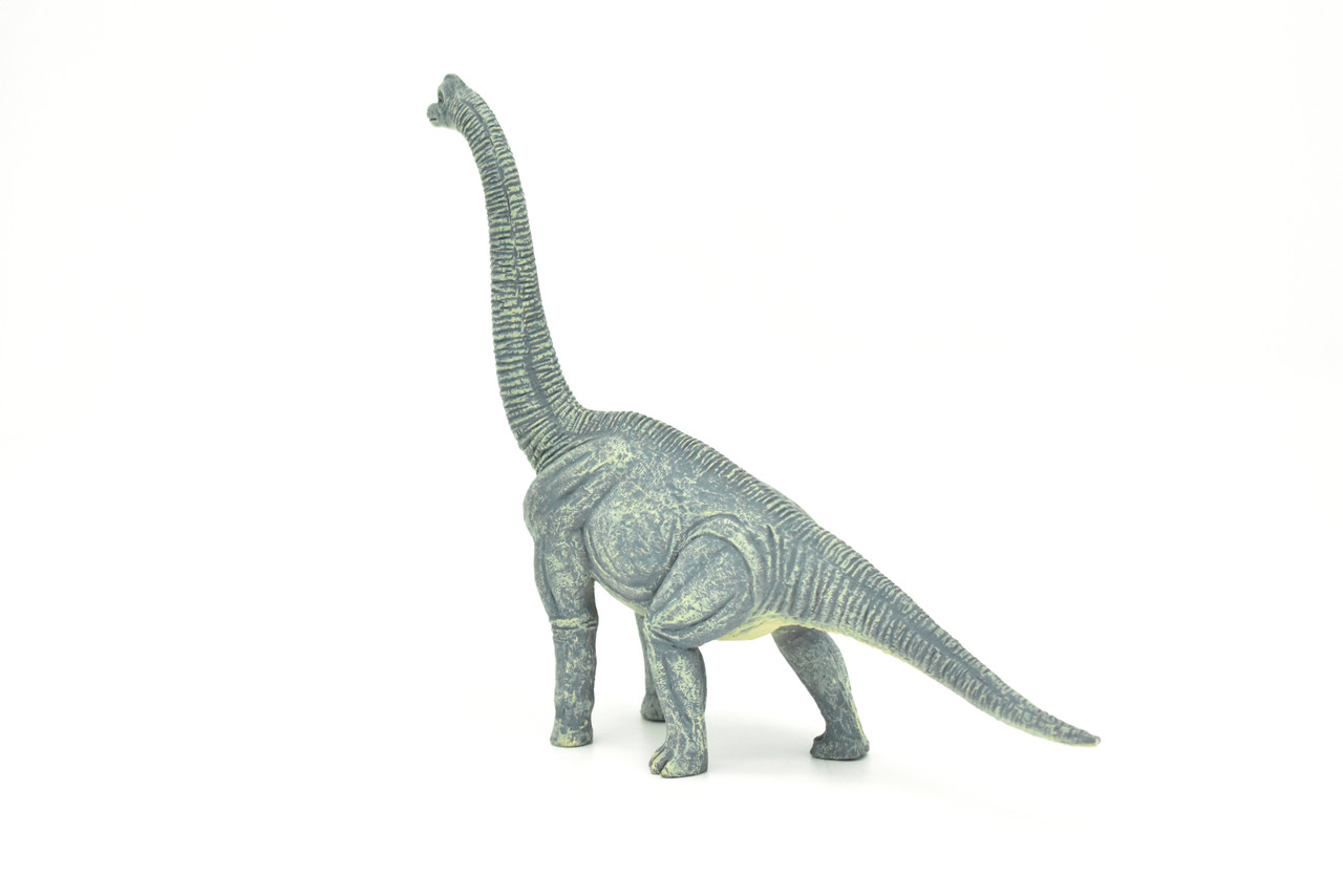 Brachiosaurus Dinosaur,  Museum Quality Plastic Replica   10"    M002-B628