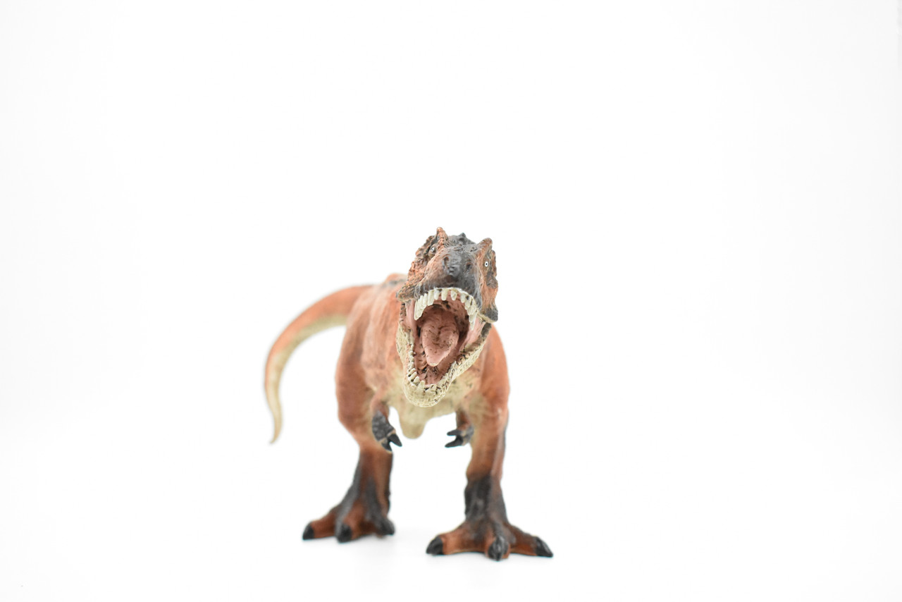 Tyrannosaurus rex, T. Rex, Dinosaur, Museum Quality Plastic Replica   10" BY 5"   M001-B628