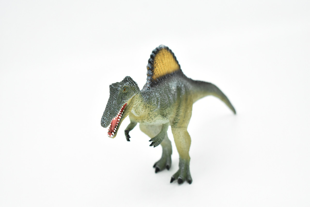 Spinosaurus Dinosaur,  Museum Quality Plastic Replica    8 1/2"    M008-B629