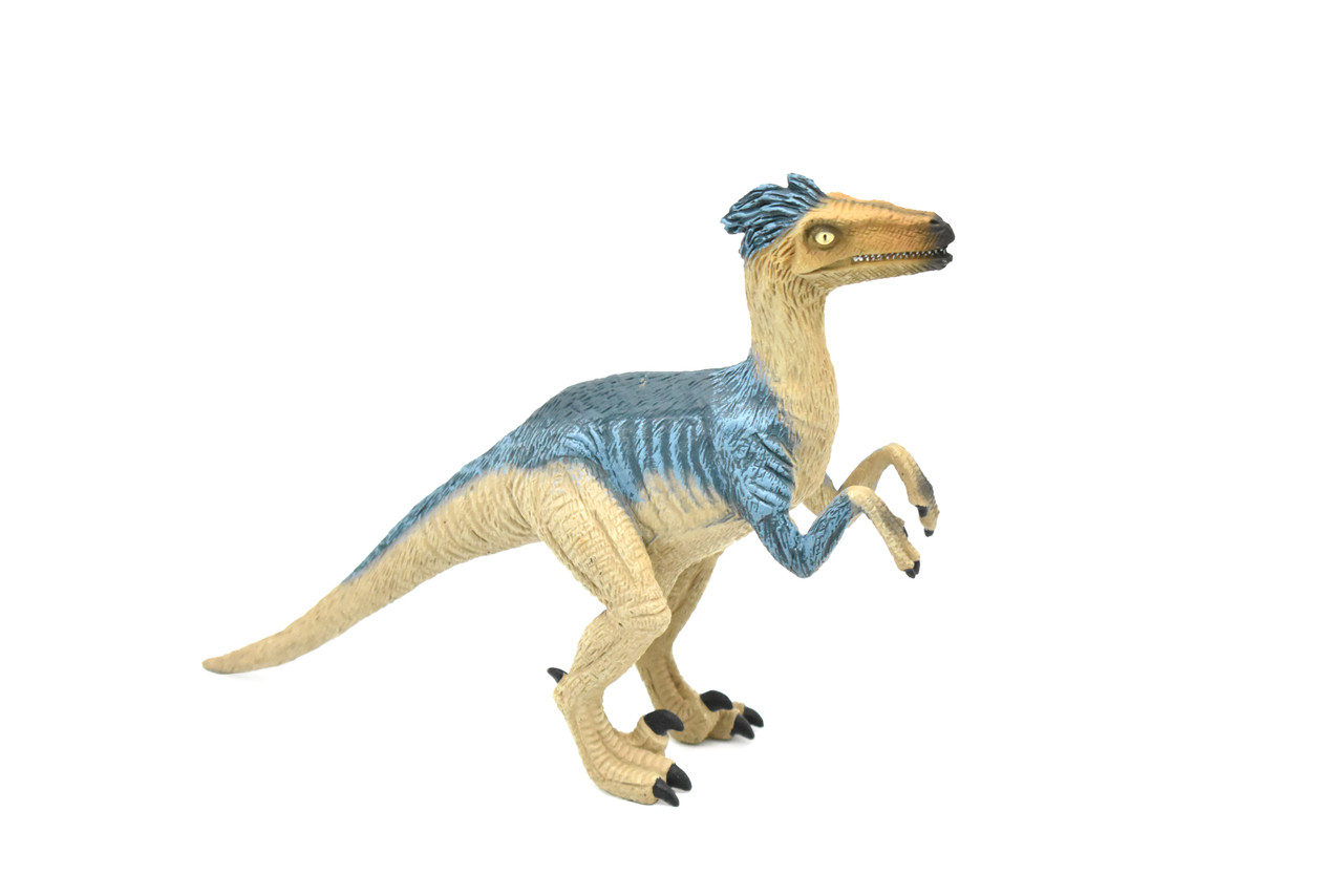 Velociraptor Dinosaur,  Museum Quality Plastic Replica     8"     M009-B630