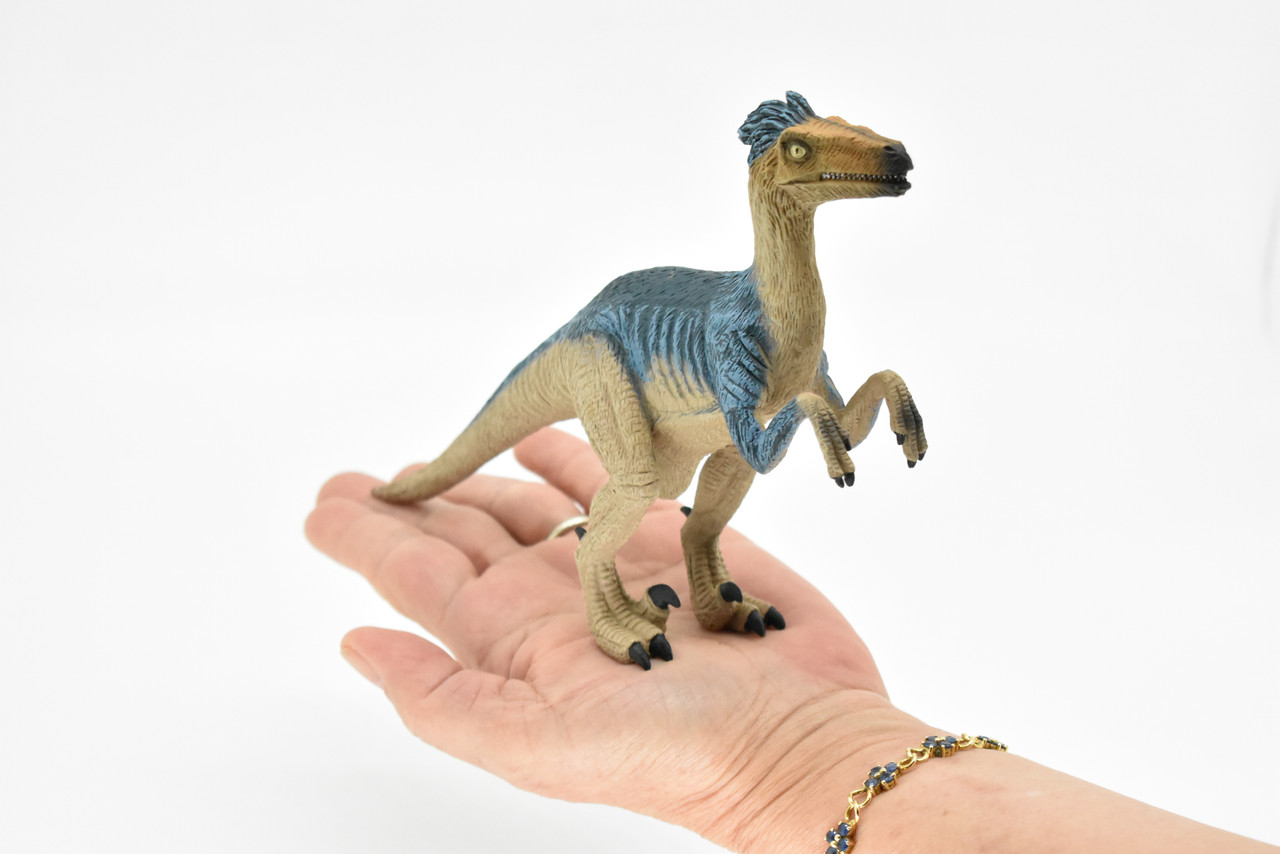 Velociraptor Dinosaur,  Museum Quality Plastic Replica     8"     M009-B630