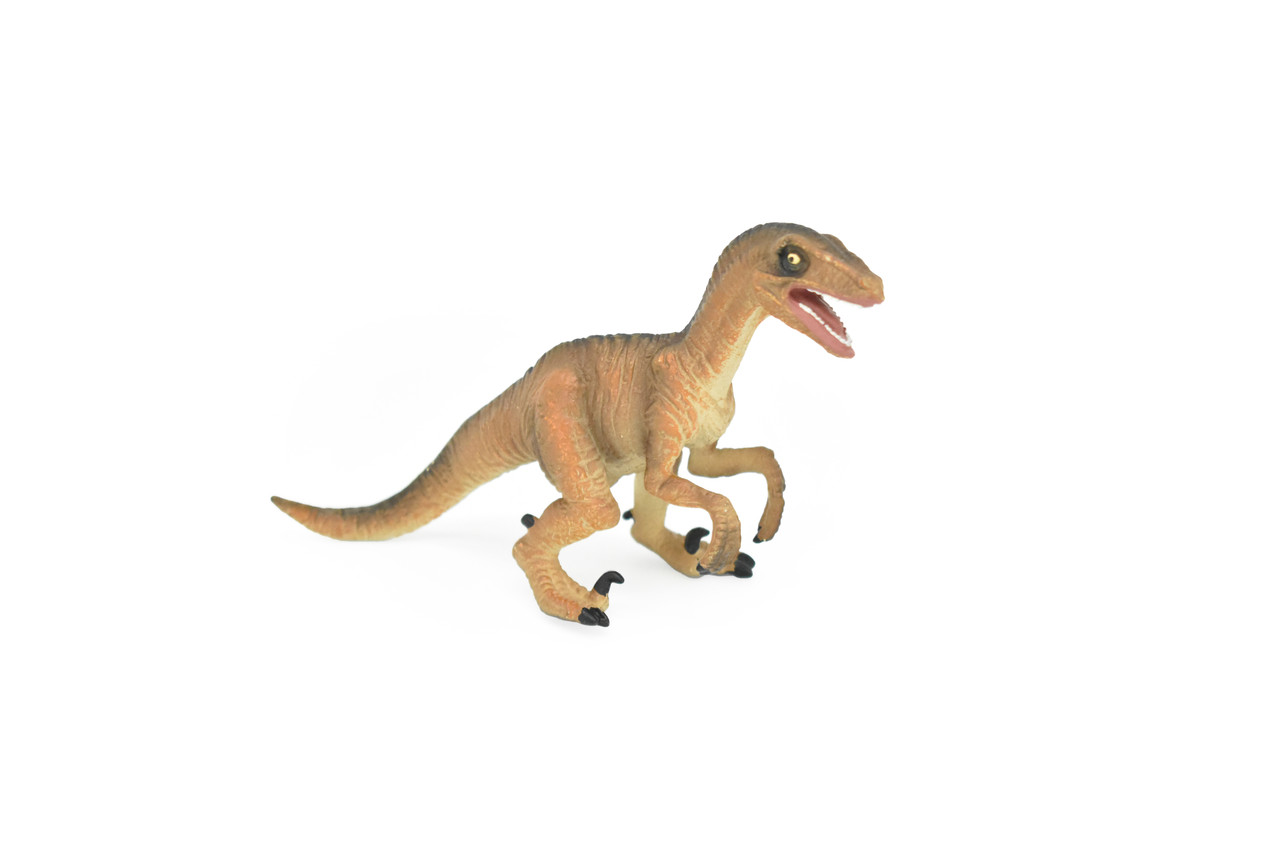 Velociraptor Dinosaur, Museum Quality Plastic Replica    4 1/2"   M011-B630