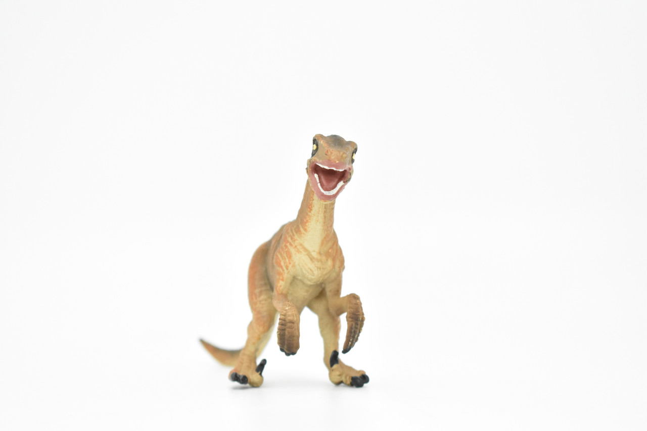 Velociraptor Dinosaur, Museum Quality Plastic Replica    4 1/2"   M011-B630