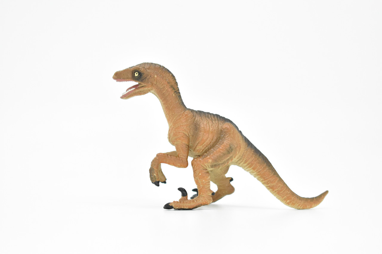 Velociraptor Dinosaur, Museum Quality Plastic Replica    4 1/2"   M011-B630