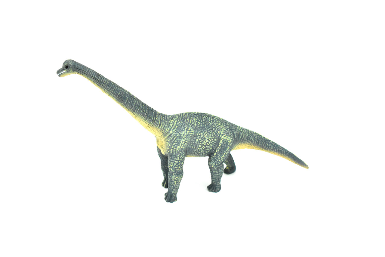 Brachiosaurus Dinosaur, Museum Quality Plastic Replica   9"    M006-B629