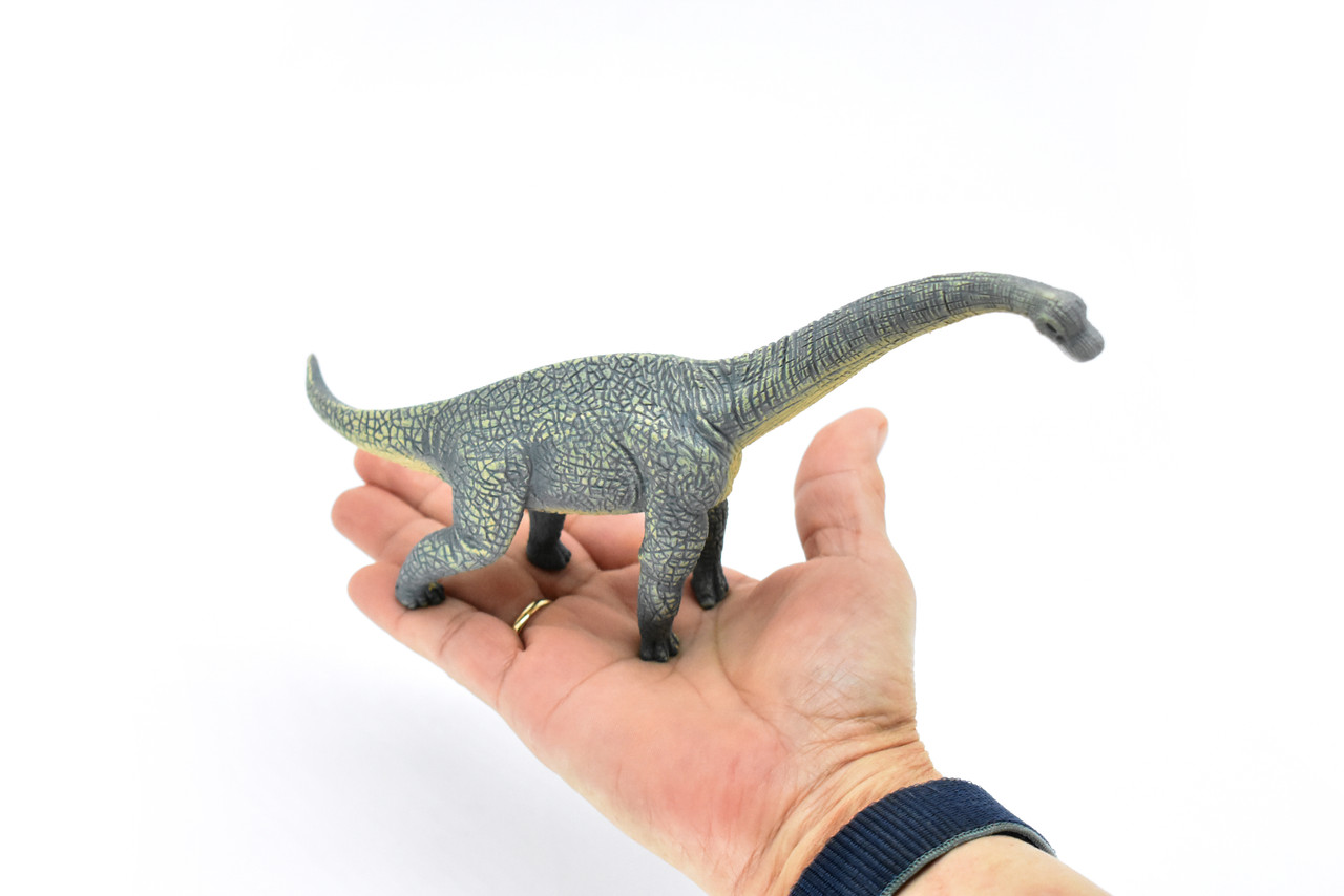 Brachiosaurus Dinosaur, Museum Quality Plastic Replica   9"    M006-B629