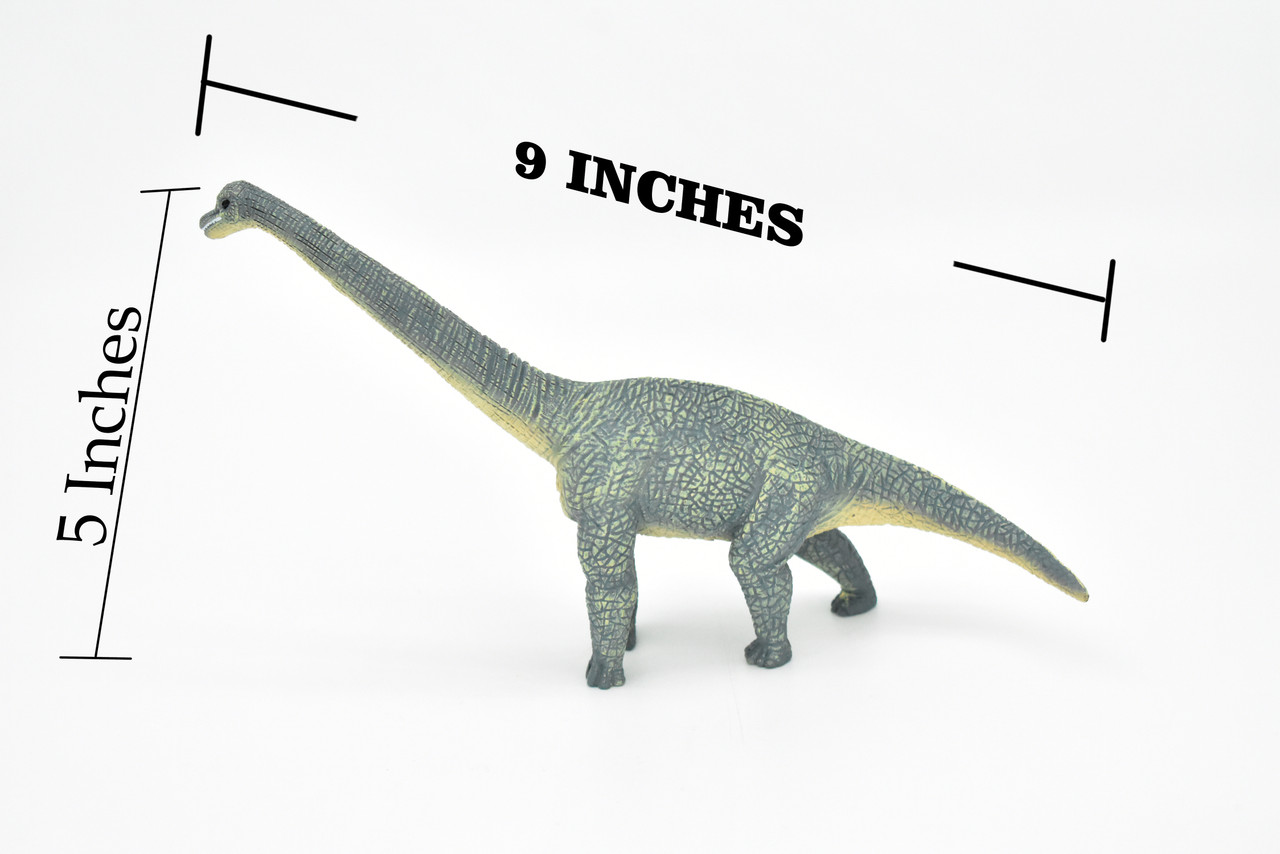 Brachiosaurus Dinosaur, Museum Quality Plastic Replica   9"    M006-B629