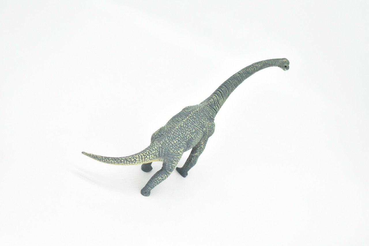 Brachiosaurus Dinosaur, Museum Quality Plastic Replica   9"    M006-B629