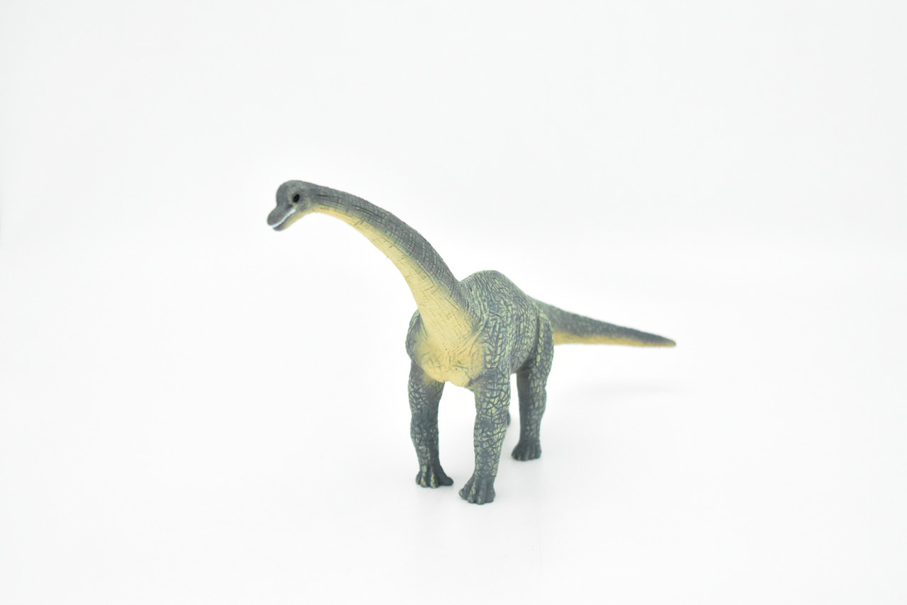 Brachiosaurus Dinosaur, Museum Quality Plastic Replica   9"    M006-B629