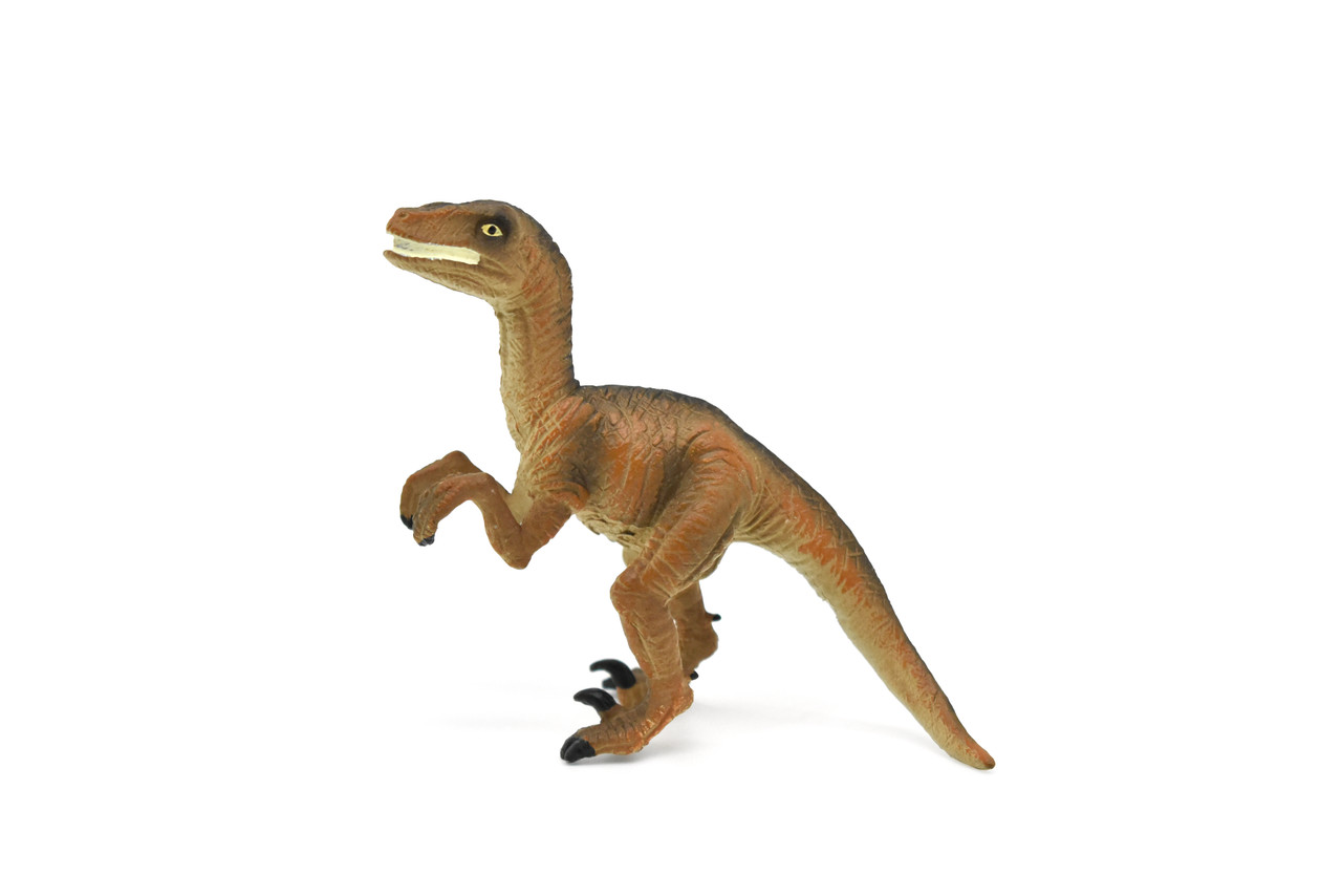 Velociraptor Dinosaur, Museum Quality Plastic Replica   4"   M016-B631