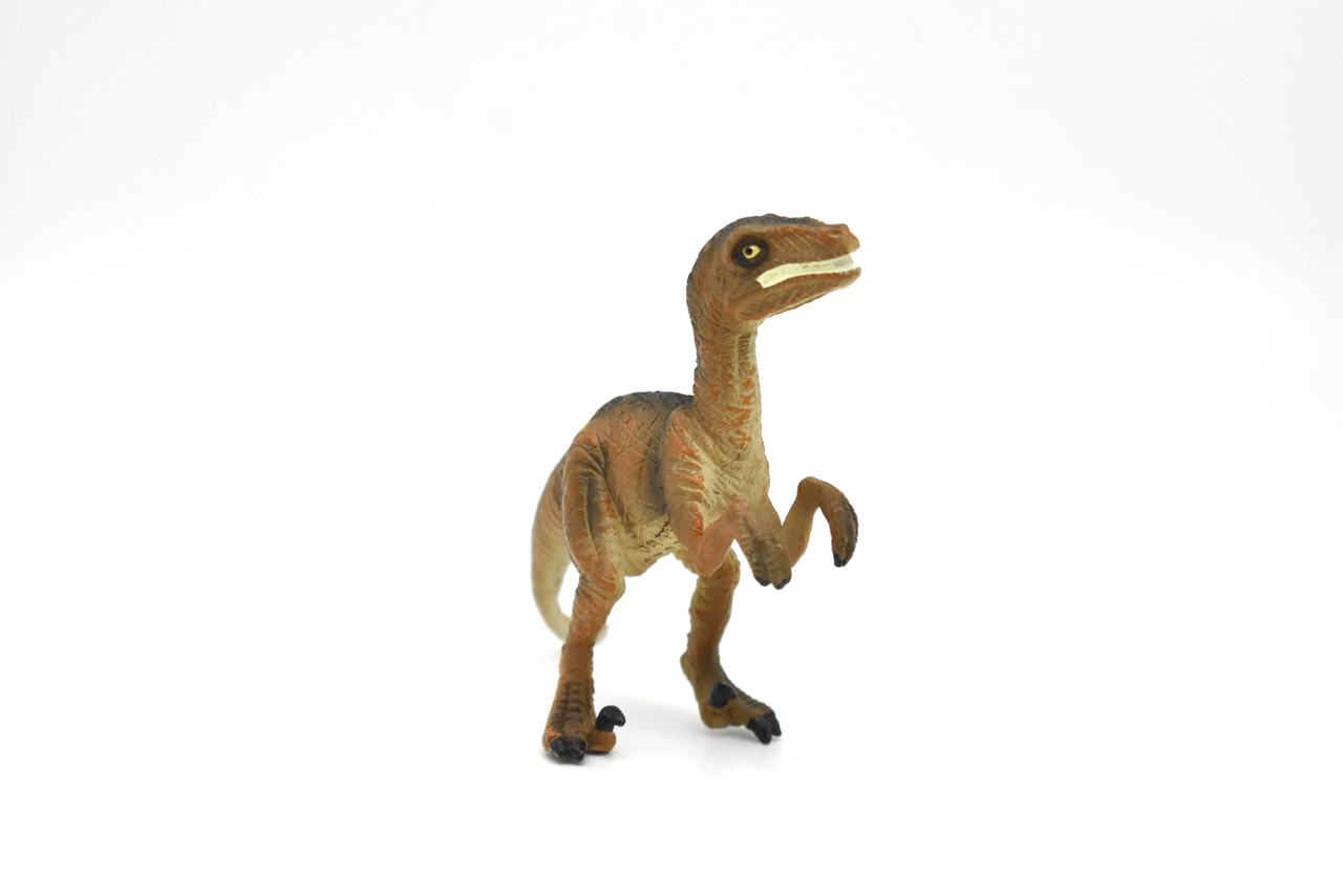 Velociraptor Dinosaur, Museum Quality Plastic Replica   4"   M016-B631