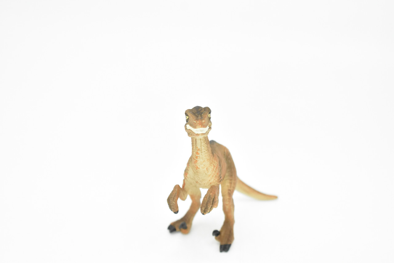 Velociraptor Dinosaur, Museum Quality Plastic Replica   4"   M016-B631