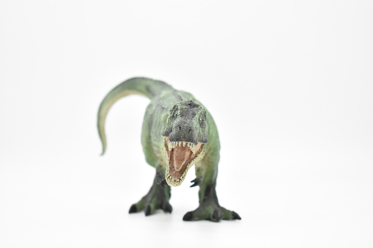 Tyrannosaurus rex, T. Rex, Dinosaur, Museum Quality Plastic Replica   10"   M017-B632