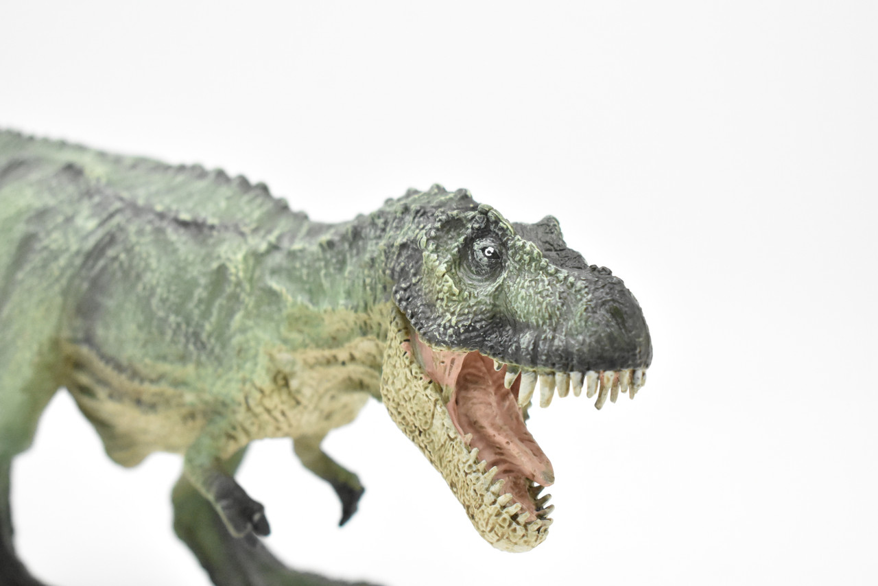 Tyrannosaurus rex, T. Rex, Dinosaur, Museum Quality Plastic Replica   10"   M017-B632