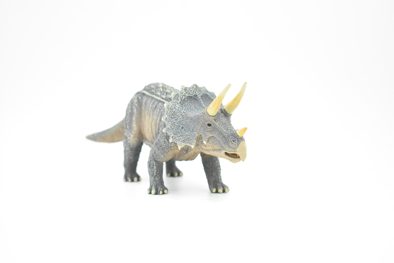 Triceratops Dinosaur, Museum Quality Plastic Replica    8"   M018-B632