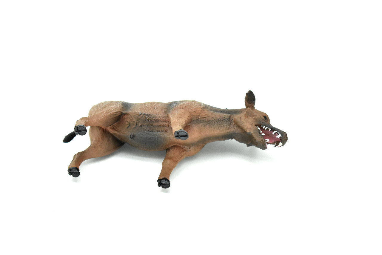 Entelodon Daeodon Dinosaur, Prehistoric Killer Pig, Realistic Toy Model Plastic Replica, Kids Educational Gift   5"   M024 B633