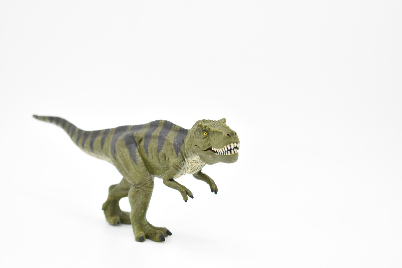 Articulated T. rex Model  Natural History Museum online shop