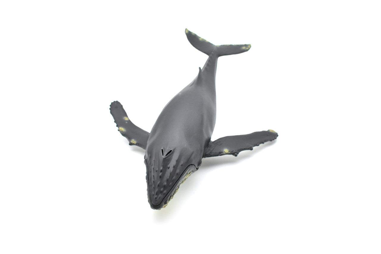 Humpback Whale,  Museum Quality Plastic Replica   12 1/2"   M031-B635 