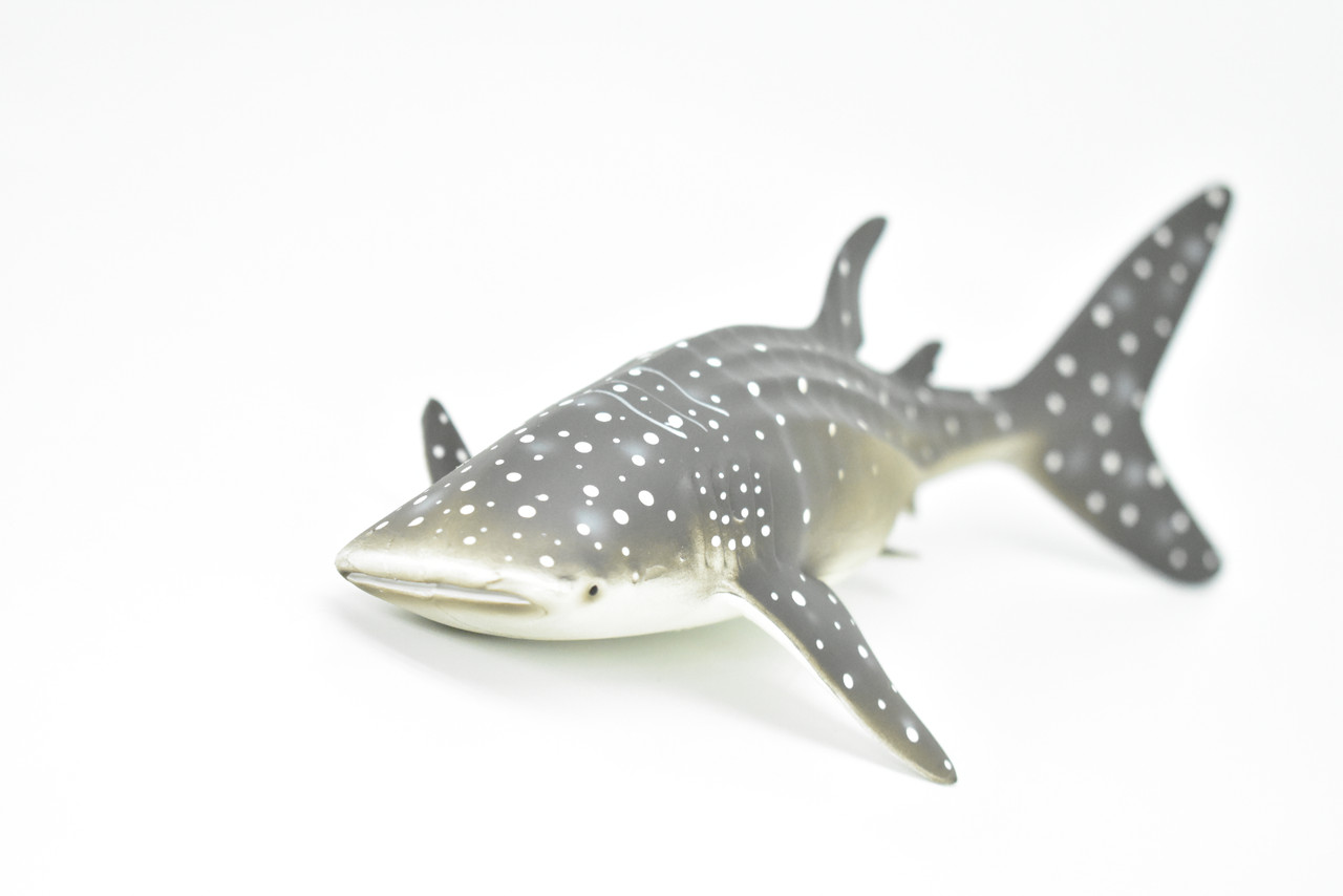 Whale Shark, Realistic Toy Model Plastic Replica, Kids Educational Gift     9.5"   M033 B636