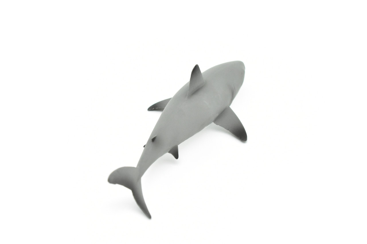 .com: SHARK Backpack Large Jaws Great white kermit supreme GREY  dolphin seal fish tank : Electronics