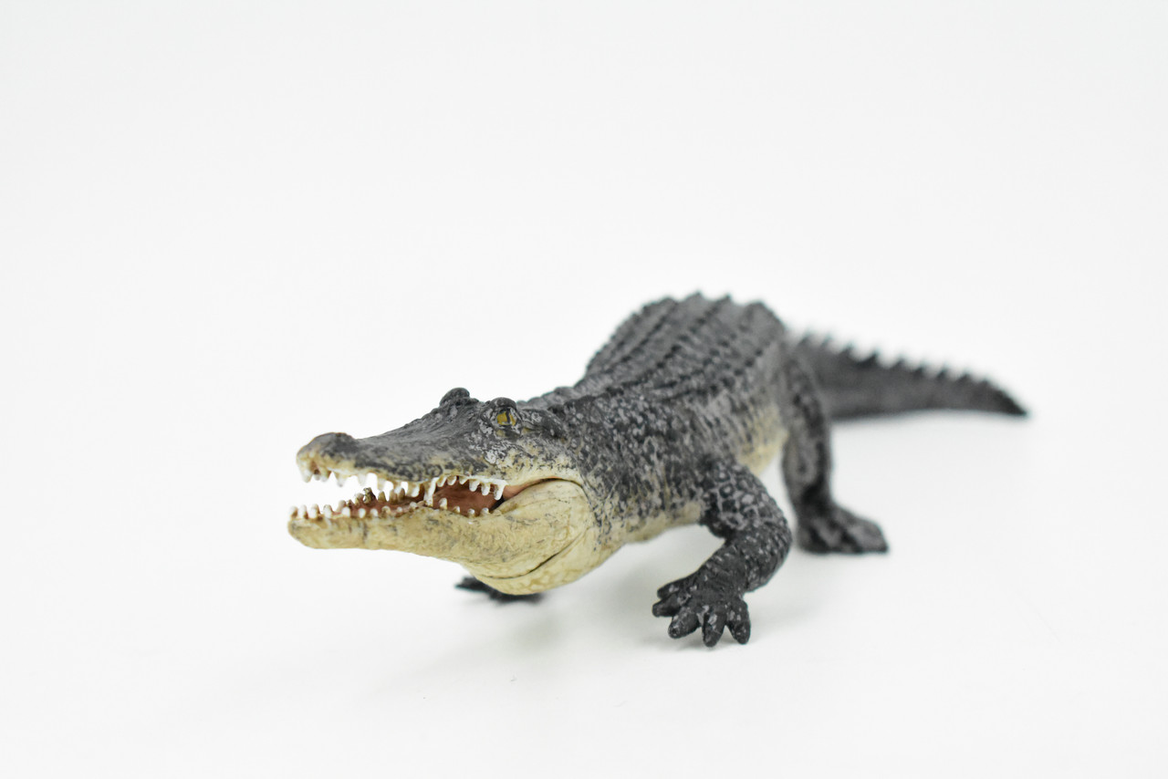 Alligator, Crocodile, Museum Quality Rubber Animal Toy, Educational, Realistic Hand Painted Figure, Lifelike Model, Figurine, Replica, Gift,     8"    M066 B642