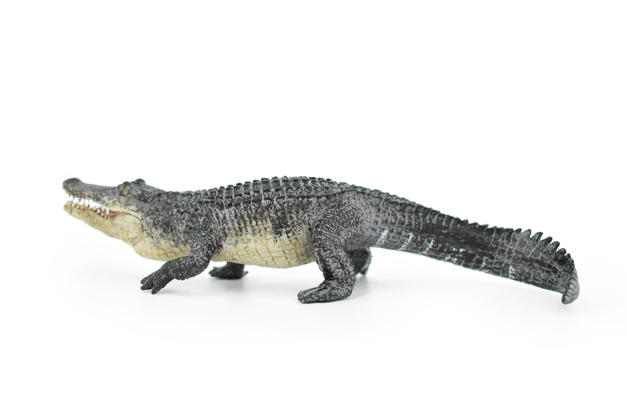 Alligator, Crocodile, Museum Quality Rubber Animal Toy, Educational, Realistic Hand Painted Figure, Lifelike Model, Figurine, Replica, Gift,     8"    M066 B642