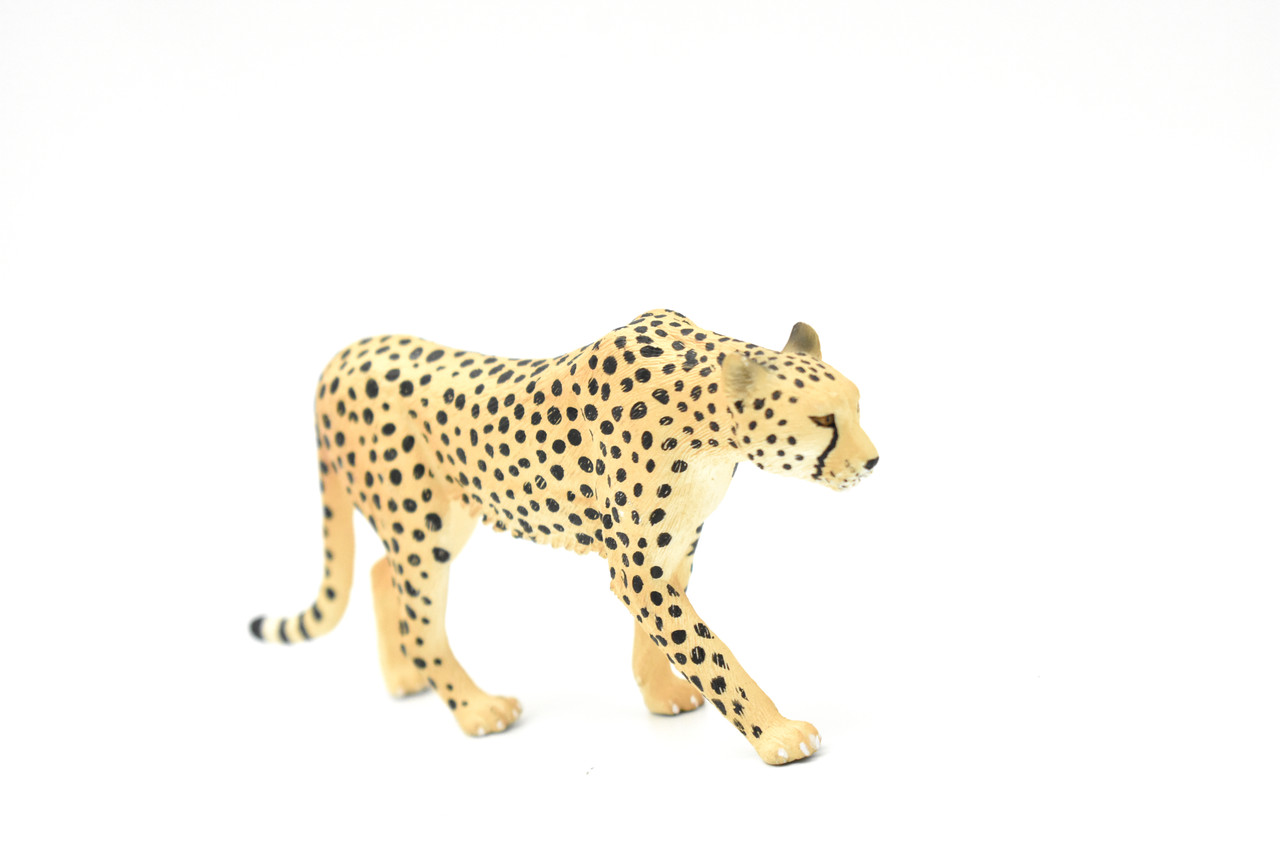 Cheetah, Realistic Toy Model Plastic Replica Animal, Kids Educational Gift  5.5"   M086 B605