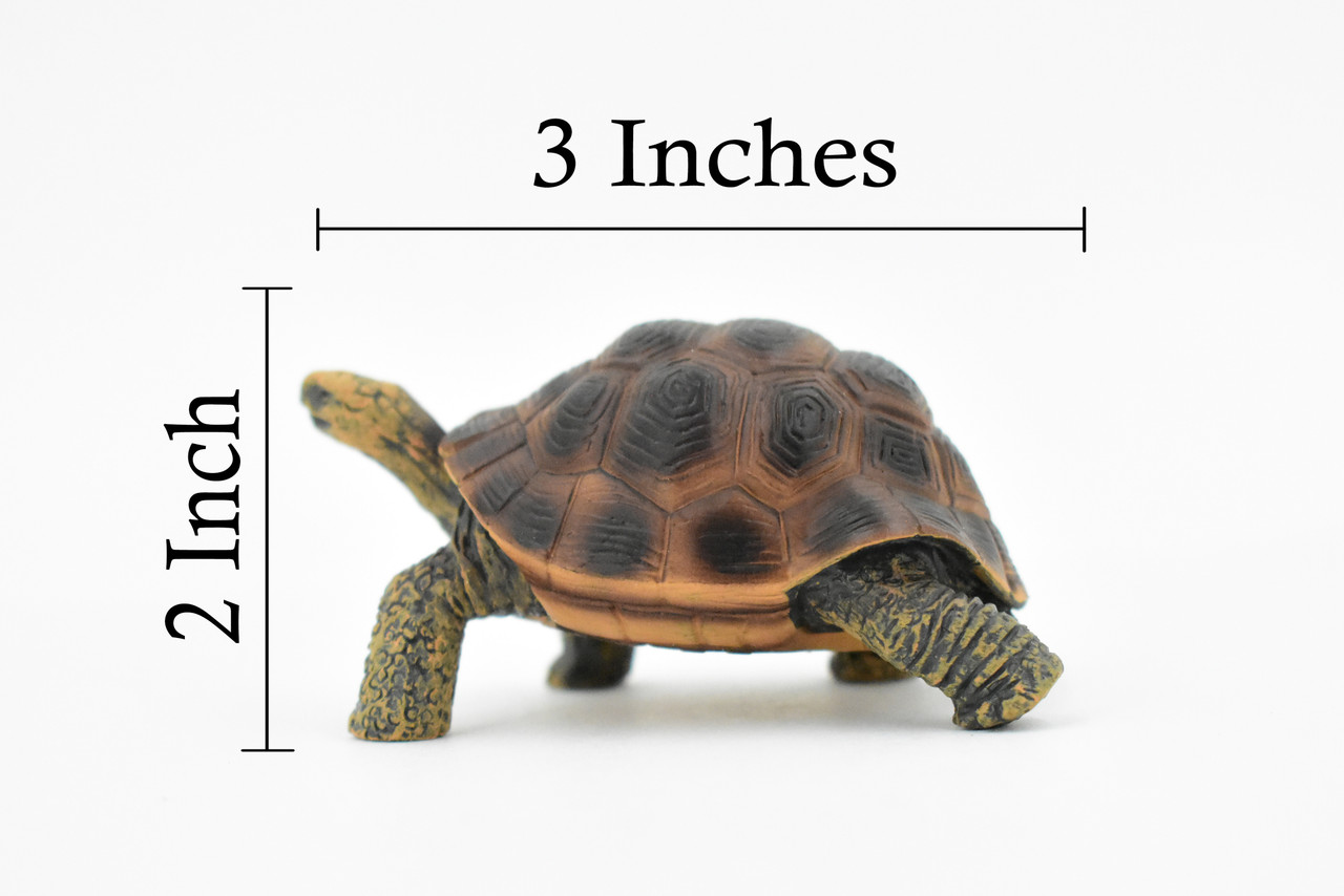 Tortoise, Turtle, Museum Quality, Plastic Animal, Educational, Realistic, Hand Painted, Figure, Lifelike Model, Figurine, Replica, Gift,     3"      M095-B606