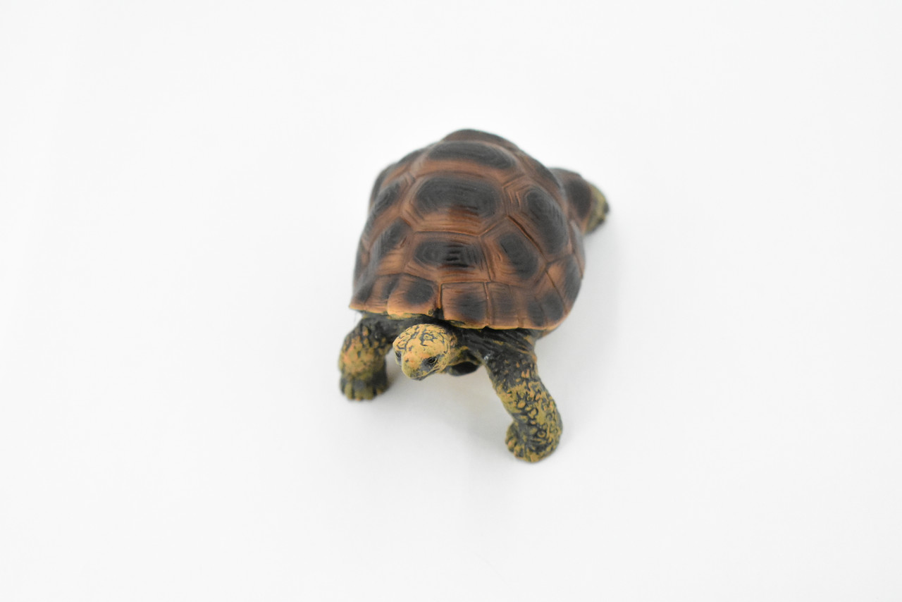 Tortoise, Turtle, Museum Quality, Plastic Animal, Educational, Realistic, Hand Painted, Figure, Lifelike Model, Figurine, Replica, Gift,     3"      M095-B606