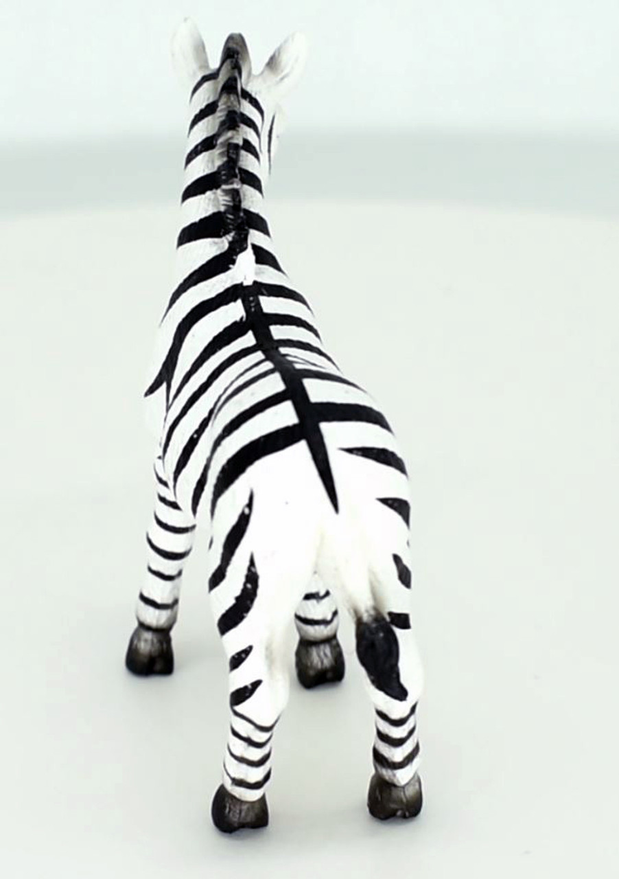 Newborn zebra colt with long skinny legs Solid-Faced Canvas Print