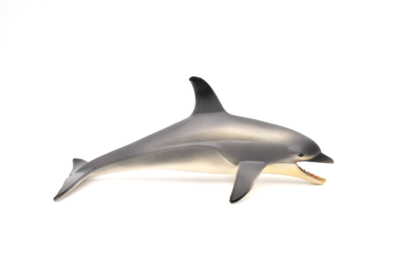 Dolphin, Realistic Toy Model Plastic Replica Animal, Kids Educational Gift   6"  OK02 B610