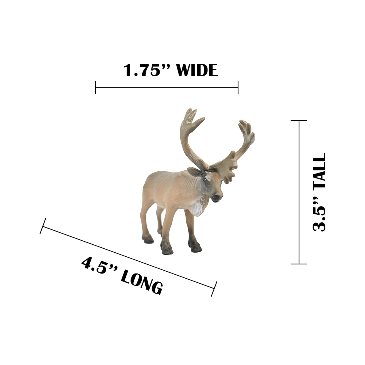 MEASUREMENTS