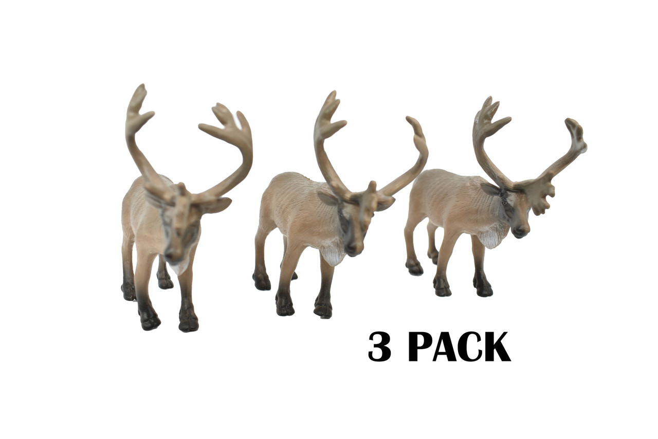 3 PACK