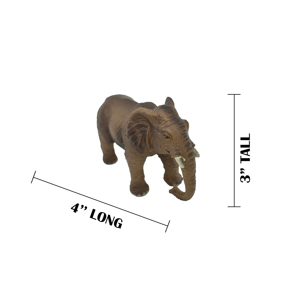 PLASTIC_RULER__56606.