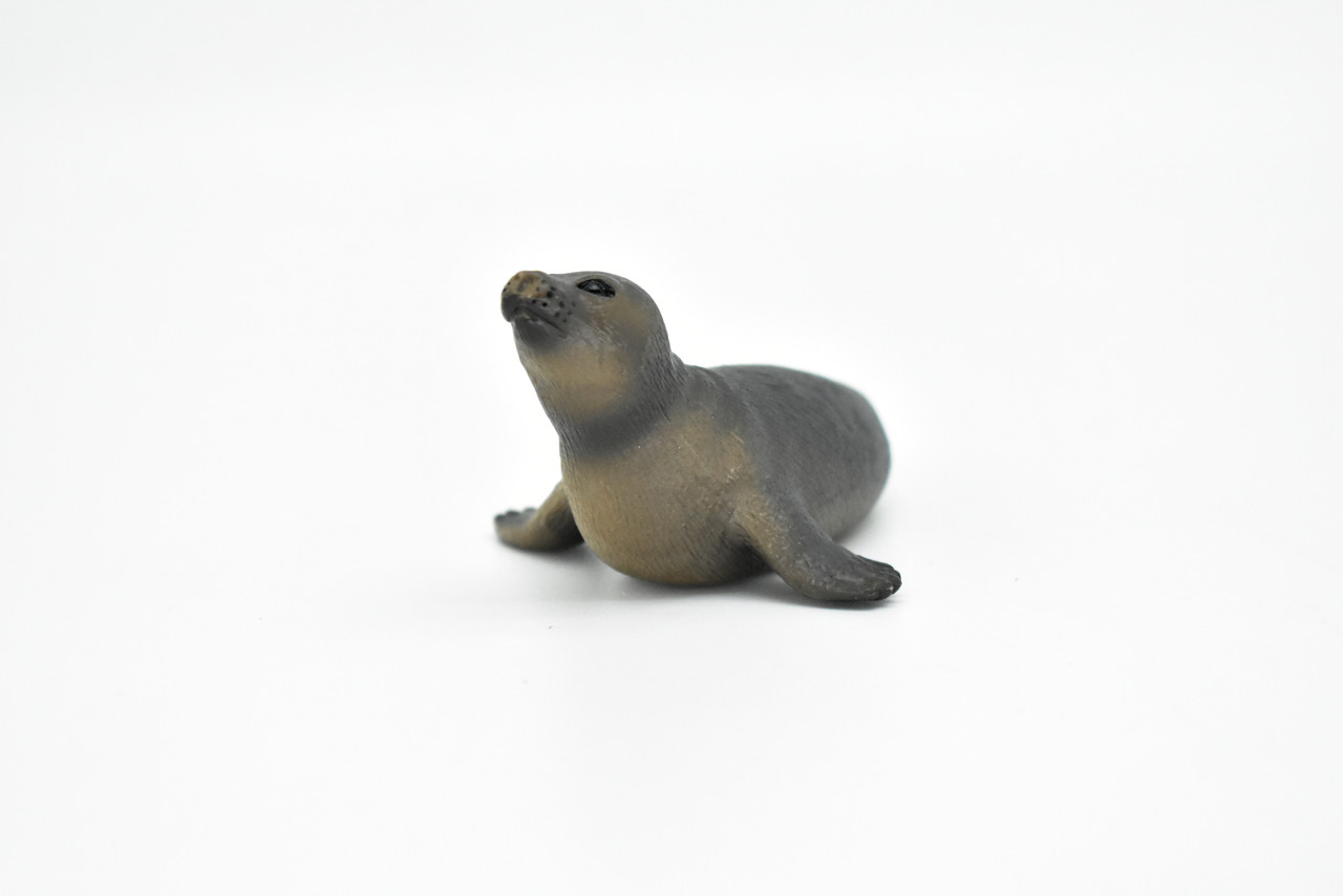 Seal, Realistic Toy Model Plastic Replica, Kids Educational Gift   4.5" OK19 B617