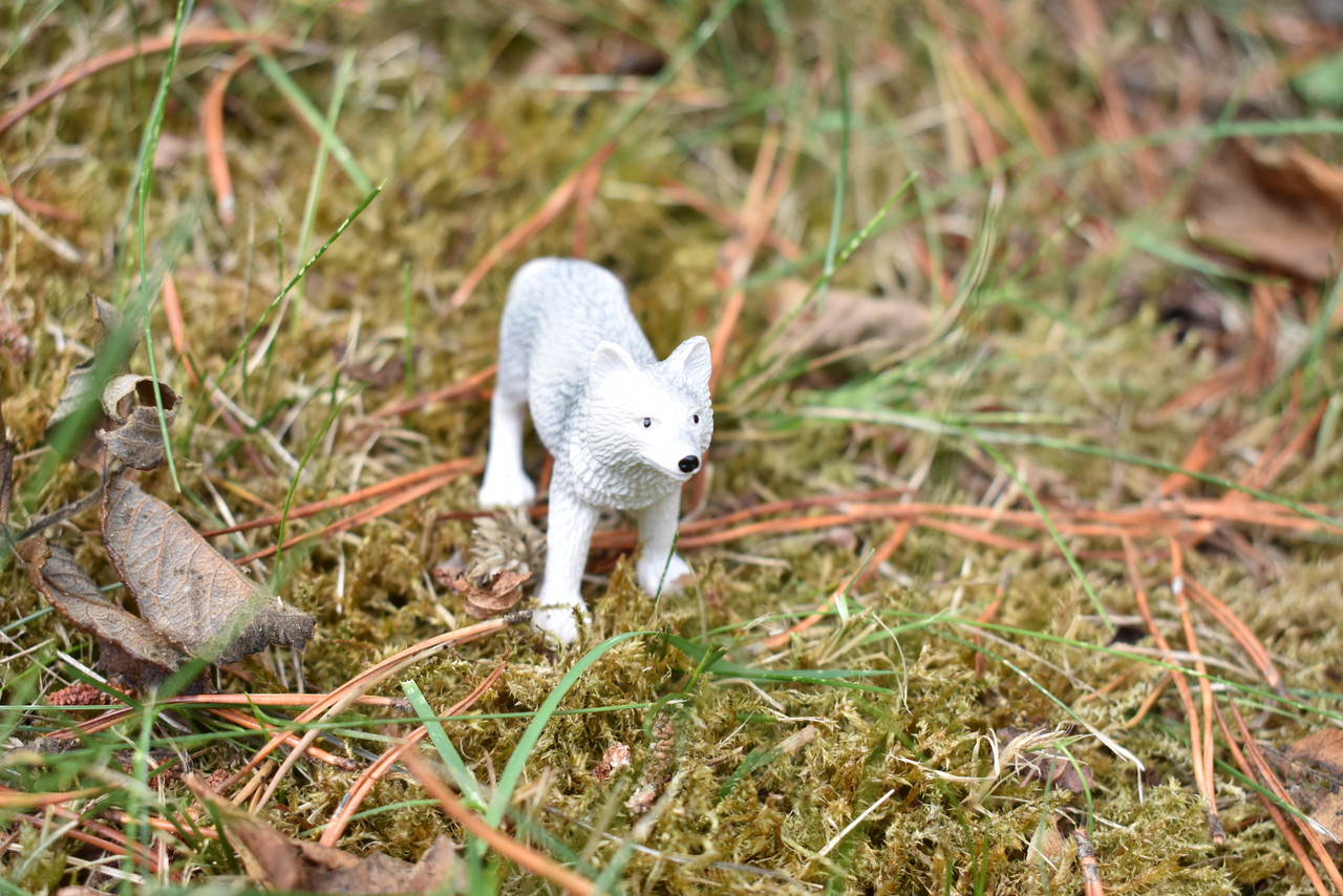 Arctic Fox Toy Miniature Replica at Animal World®.