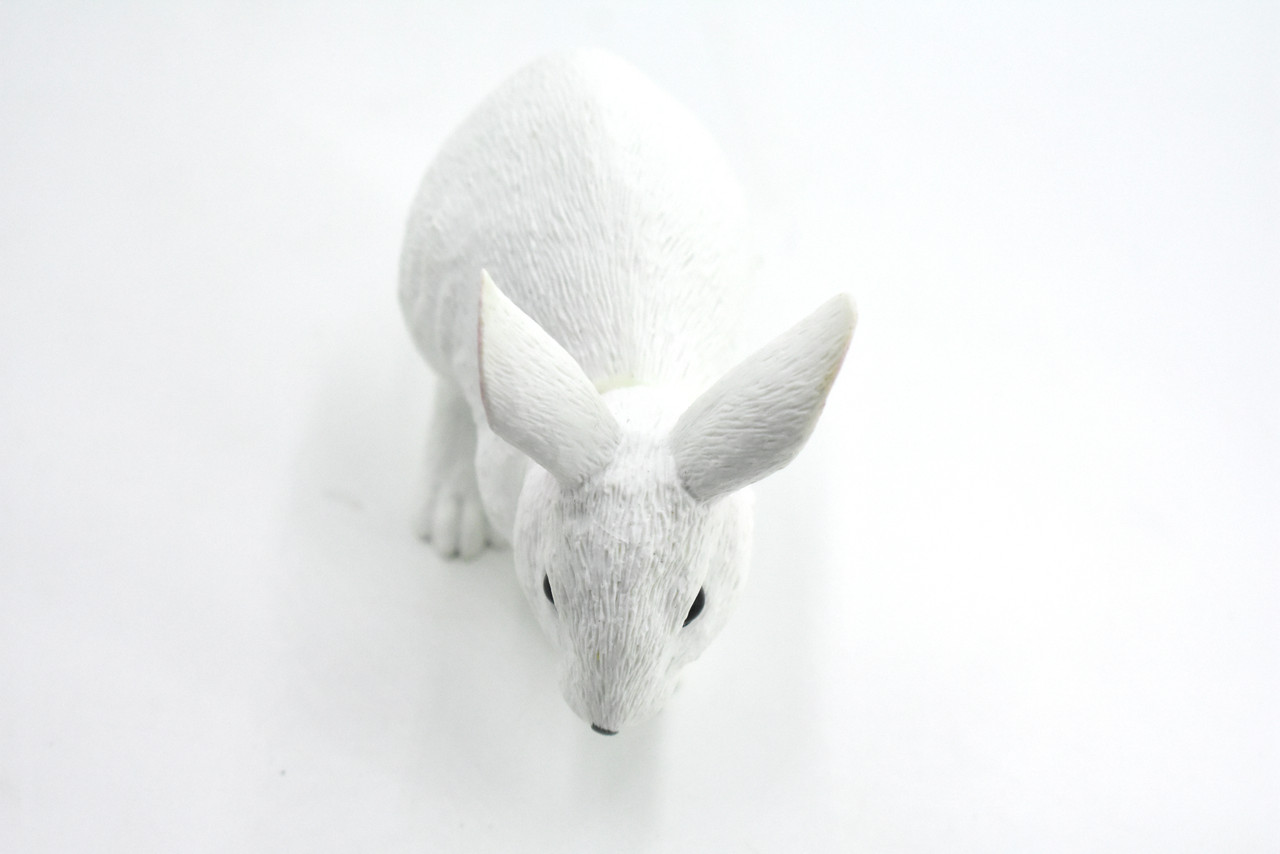 Rabbit, White, Museum Quality Plastic Animal, Educational, Toy, Kids, Realistic Hand Painted Figure, Lifelike Model, Figurine, Replica, Gift,    4"   OK22-B618         