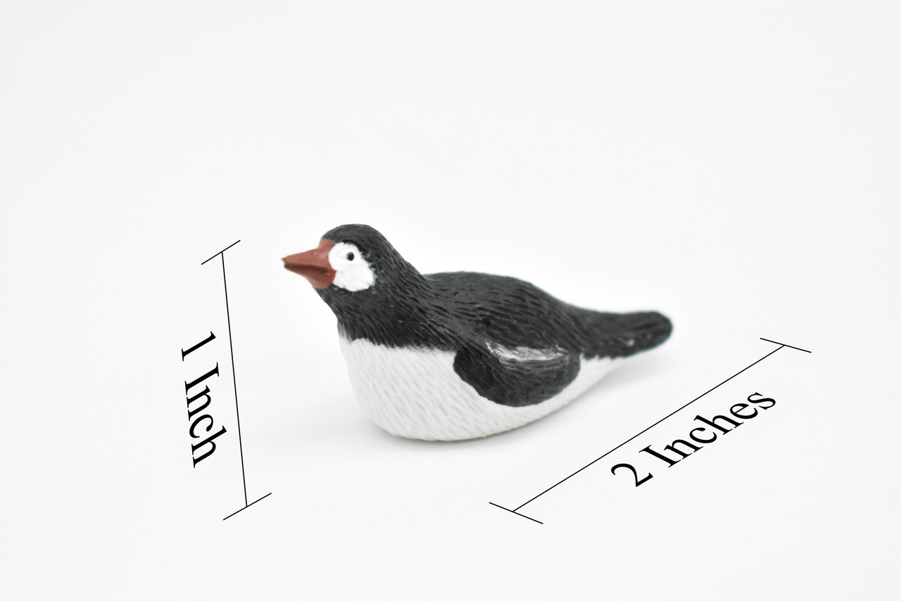 Penguin, Gentoo, Swimming, Very Nice Rubber Reproduction    2"    OK25 B619 